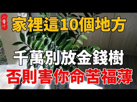 門口放銅錢|【門口放銅錢】門口放銅錢提升運勢！五帝錢擺放指南，讓你財源。